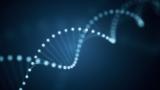 DNA