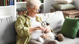 Elderly woman knitting with cat