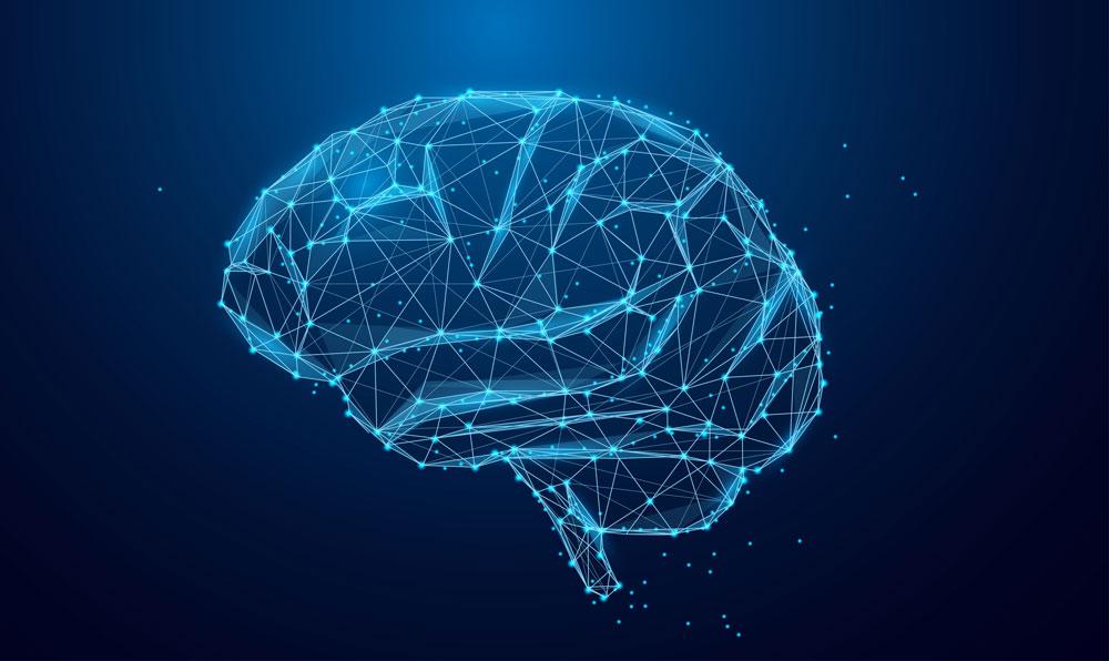Digital brain